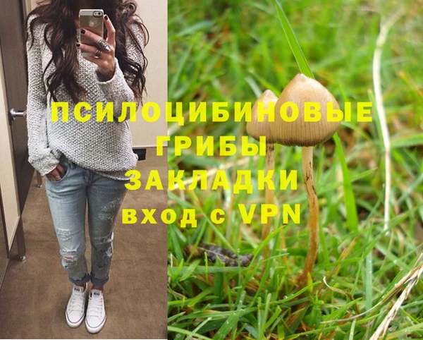 apvp Армянск