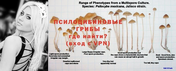 apvp Армянск