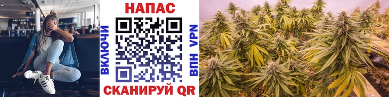Марихуана OG Kush  Малмыж 